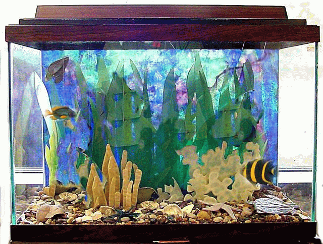 aquarium